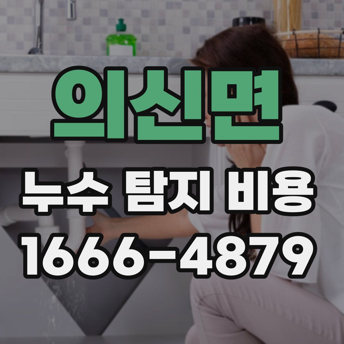 의신면 누수 탐지 비용