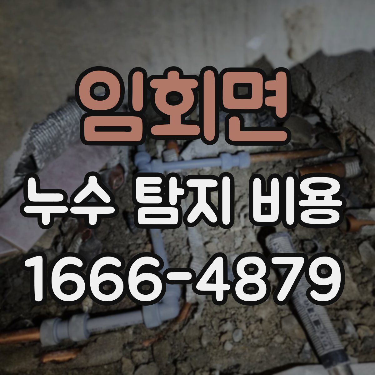 임회면 누수 탐지 비용