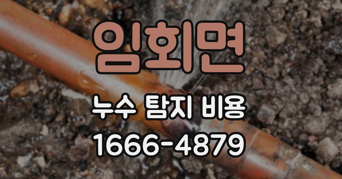 임회면 누수 탐지 비용
