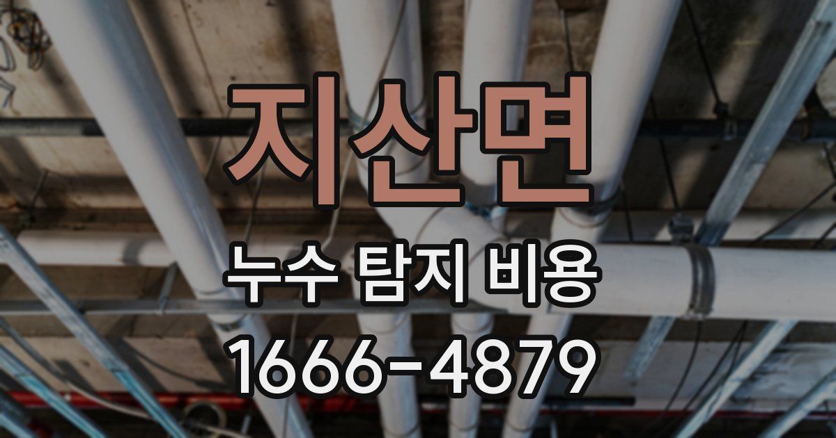 지산면 누수 탐지 비용