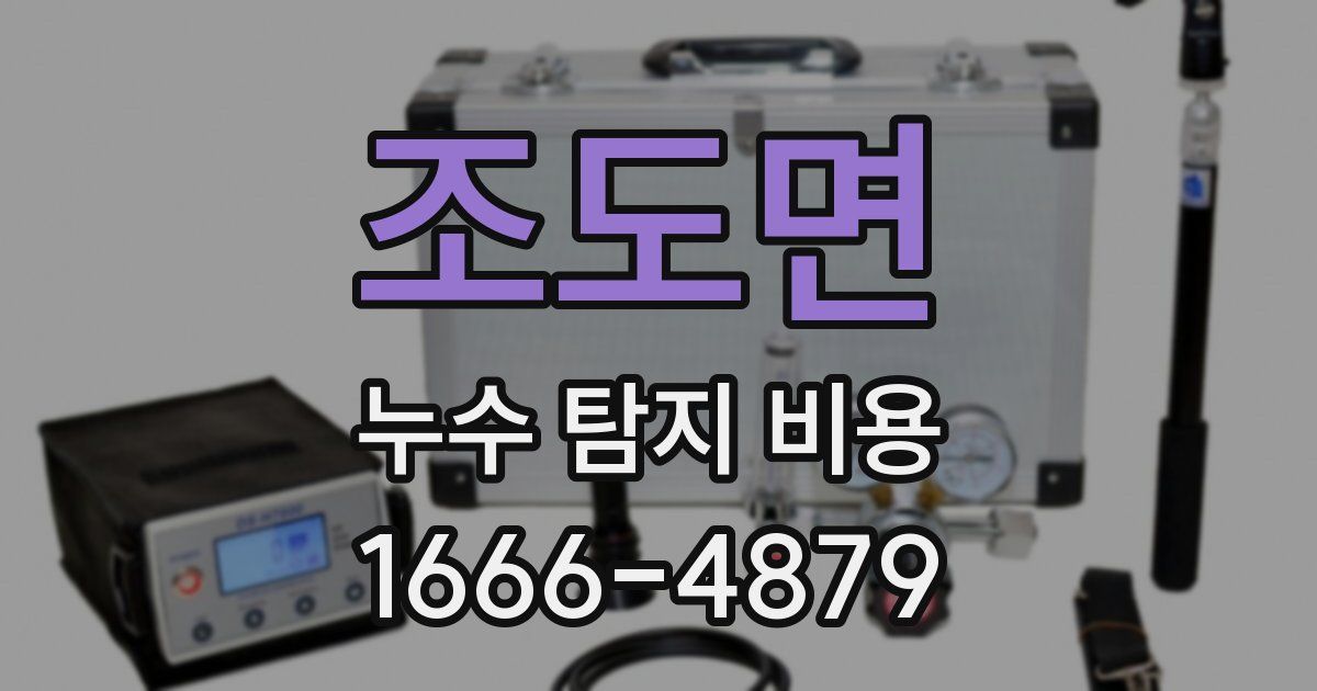 조도면 누수 탐지 비용