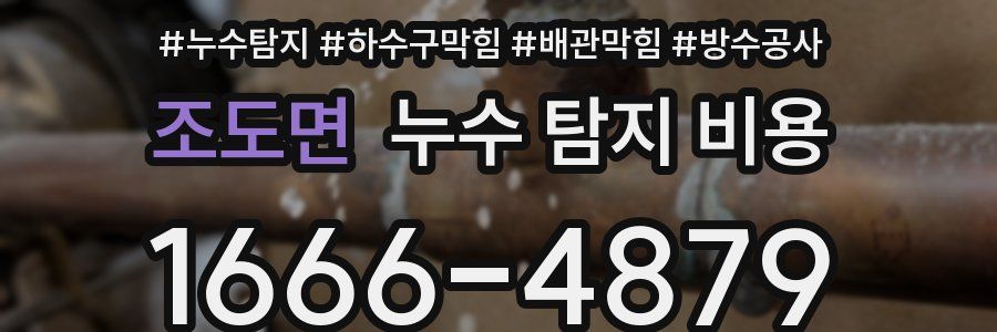 조도면 누수 탐지 비용