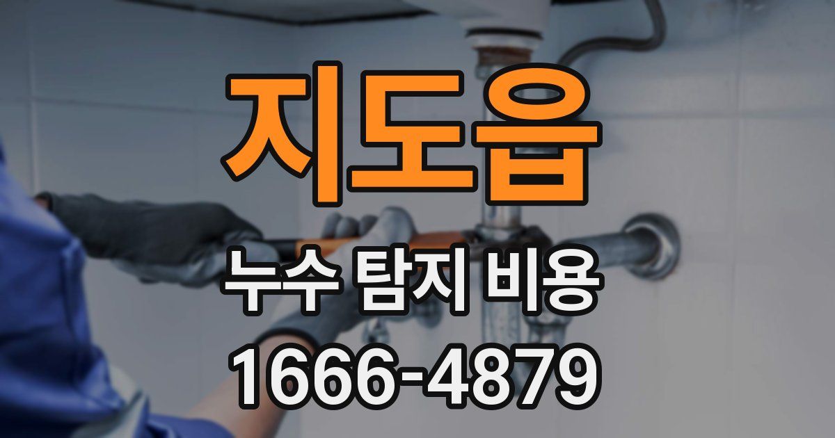 지도읍 누수 탐지 비용