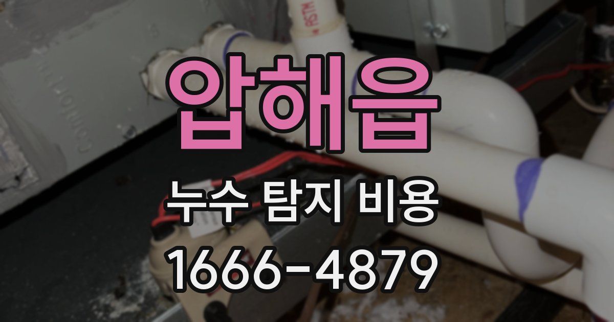 압해읍 누수 탐지 비용
