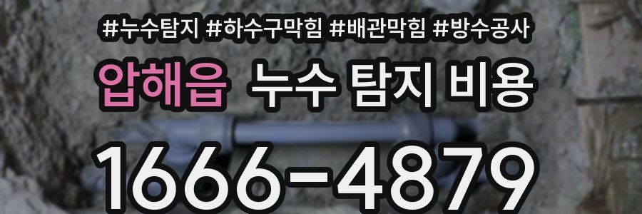 압해읍 누수 탐지 비용