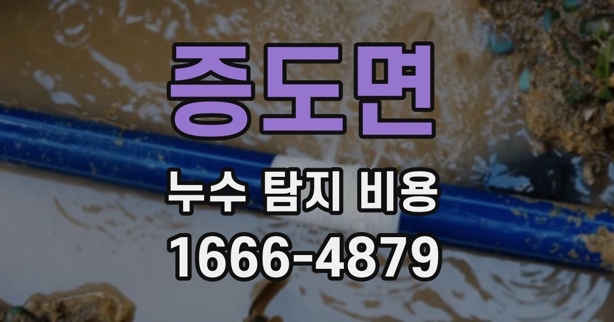 증도면 누수 탐지 비용