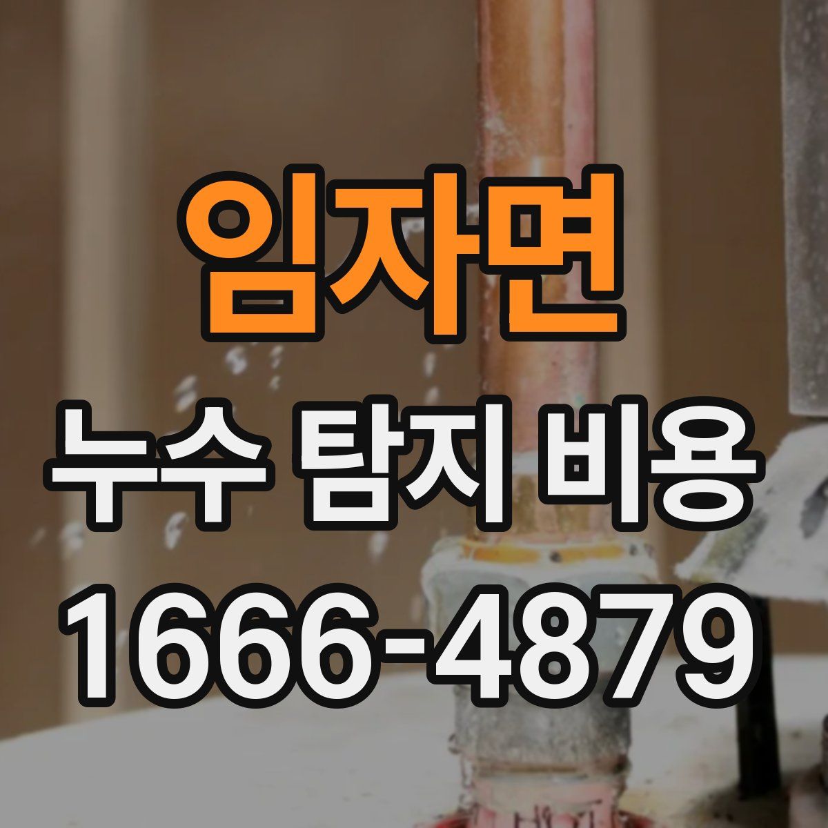 임자면 누수 탐지 비용