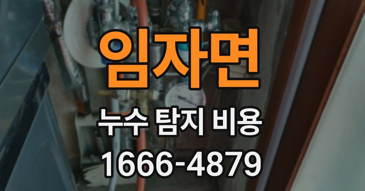 임자면 누수 탐지 비용