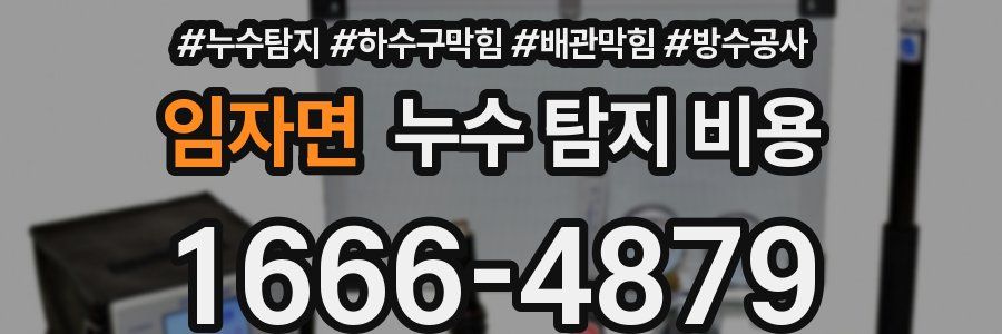 임자면 누수 탐지 비용