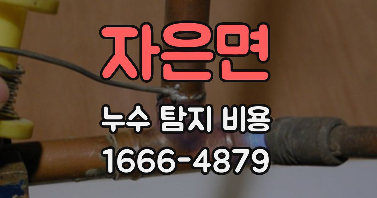 자은면 누수 탐지 비용