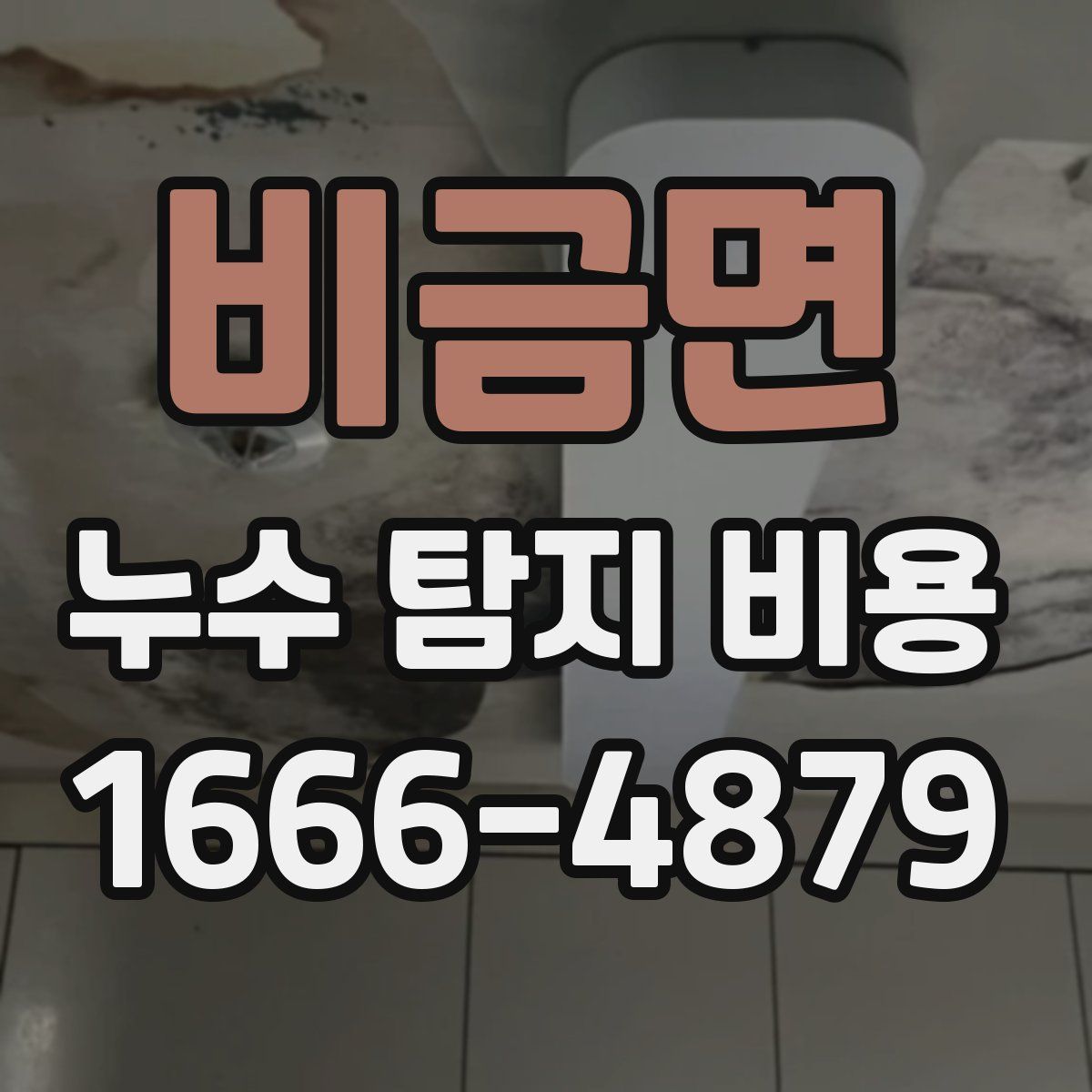 비금면 누수 탐지 비용
