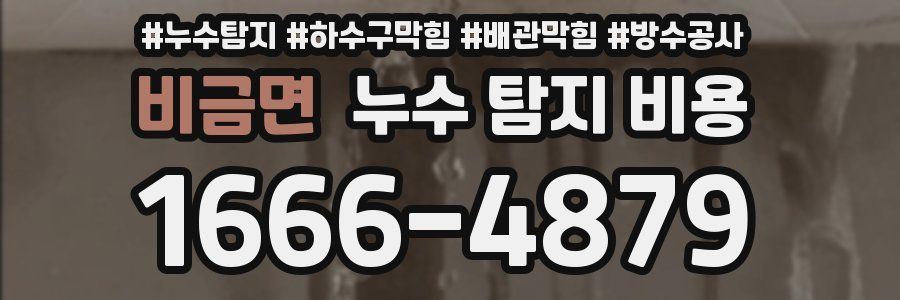 비금면 누수 탐지 비용