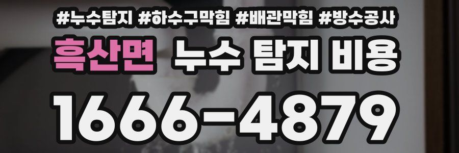 흑산면 누수 탐지 비용