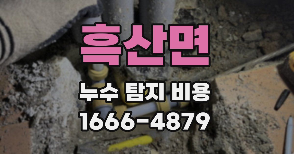 흑산면 누수 탐지 비용