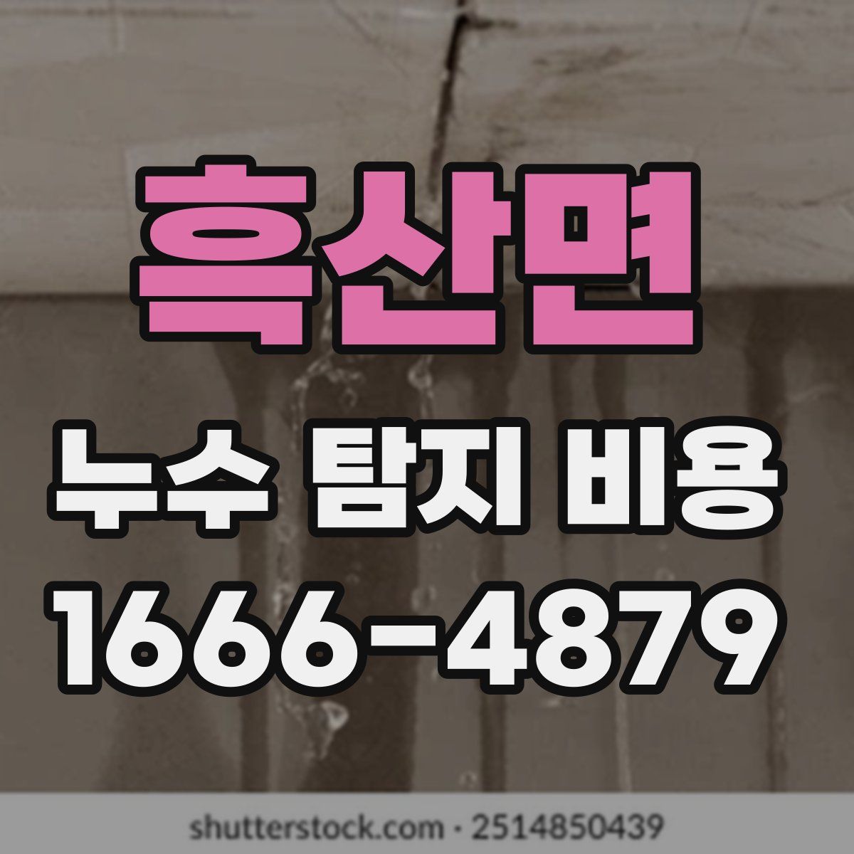 흑산면 누수 탐지 비용