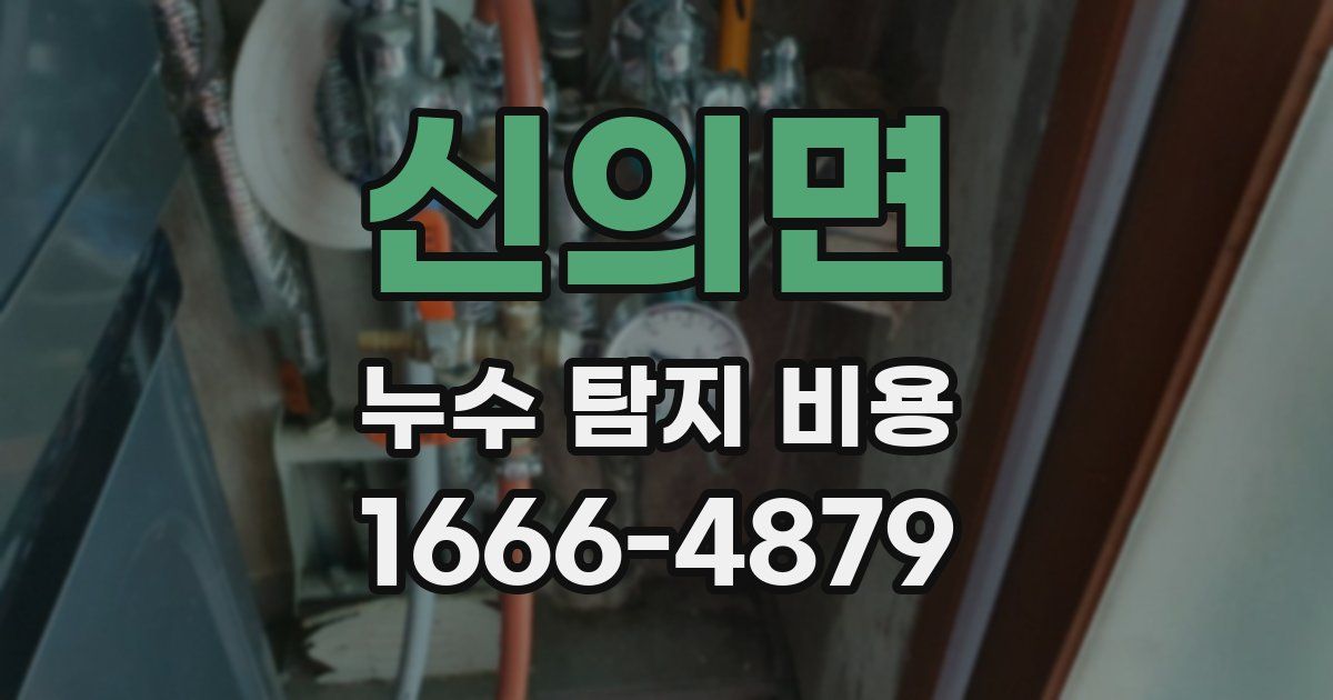 신의면 누수 탐지 비용