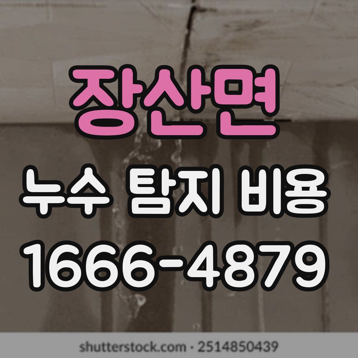 장산면 누수 탐지 비용