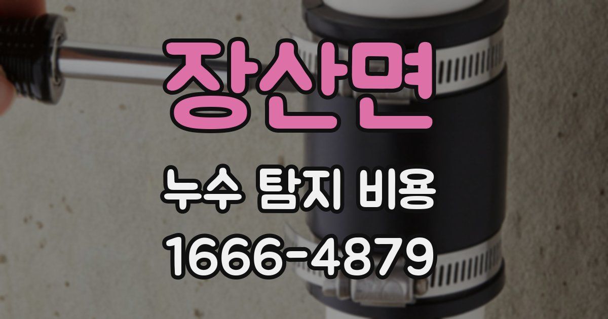 장산면 누수 탐지 비용