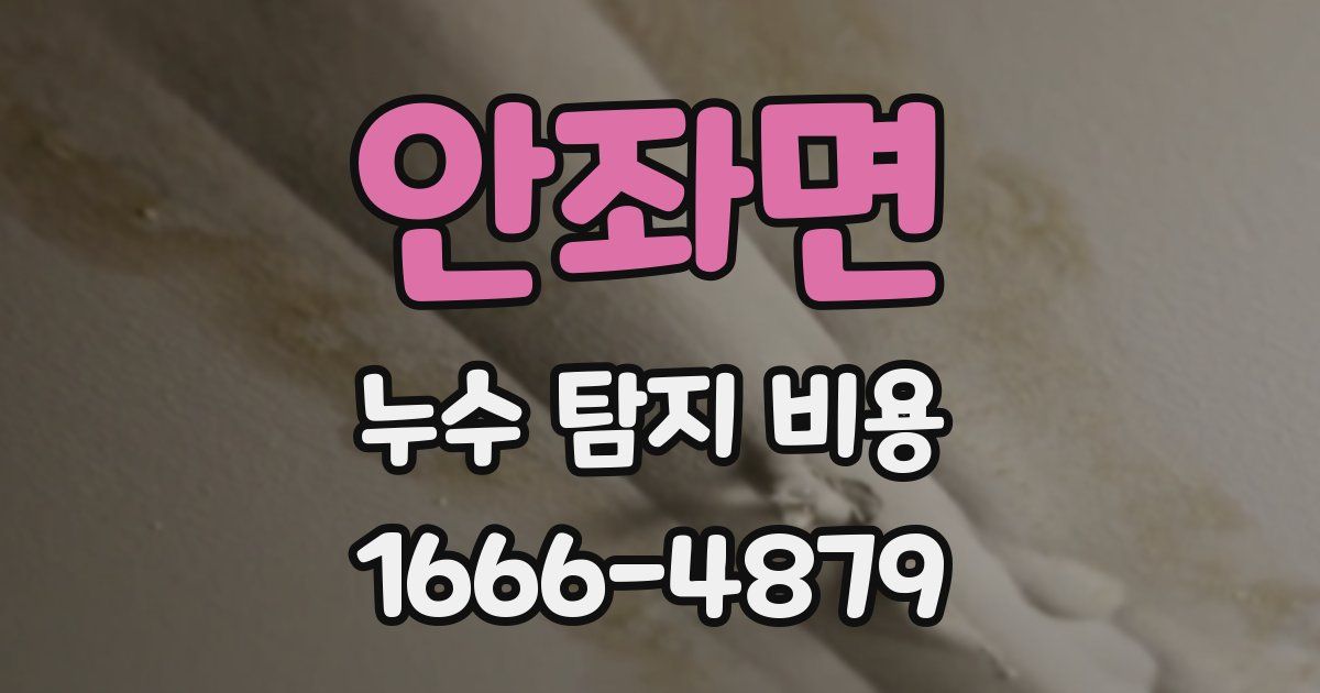 안좌면 누수 탐지 비용