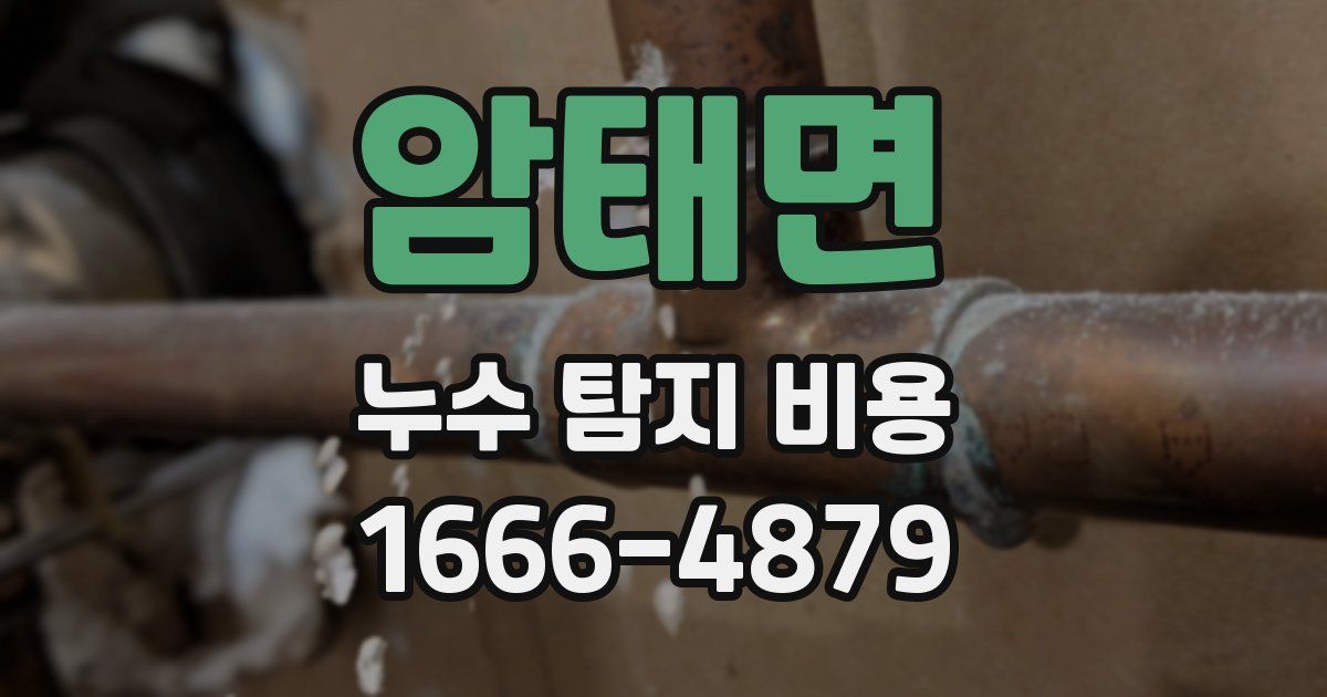 암태면 누수 탐지 비용