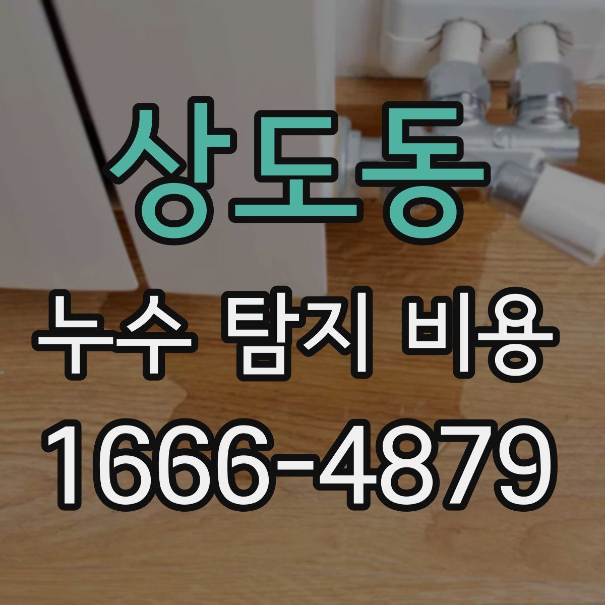 상도동 누수 탐지 비용