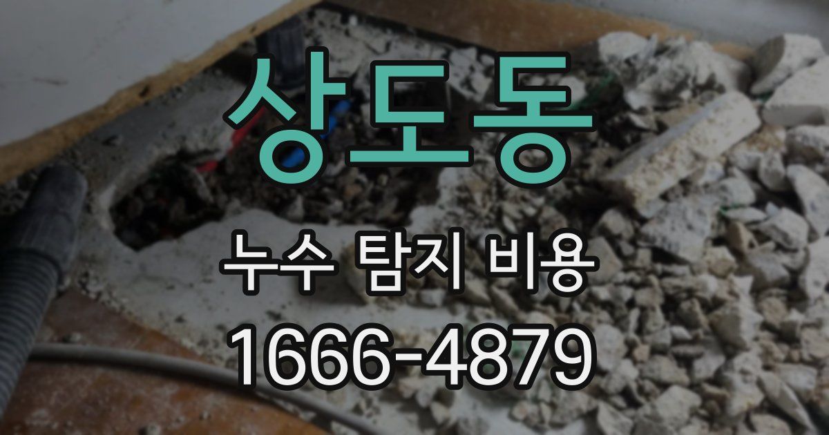 상도동 누수 탐지 비용