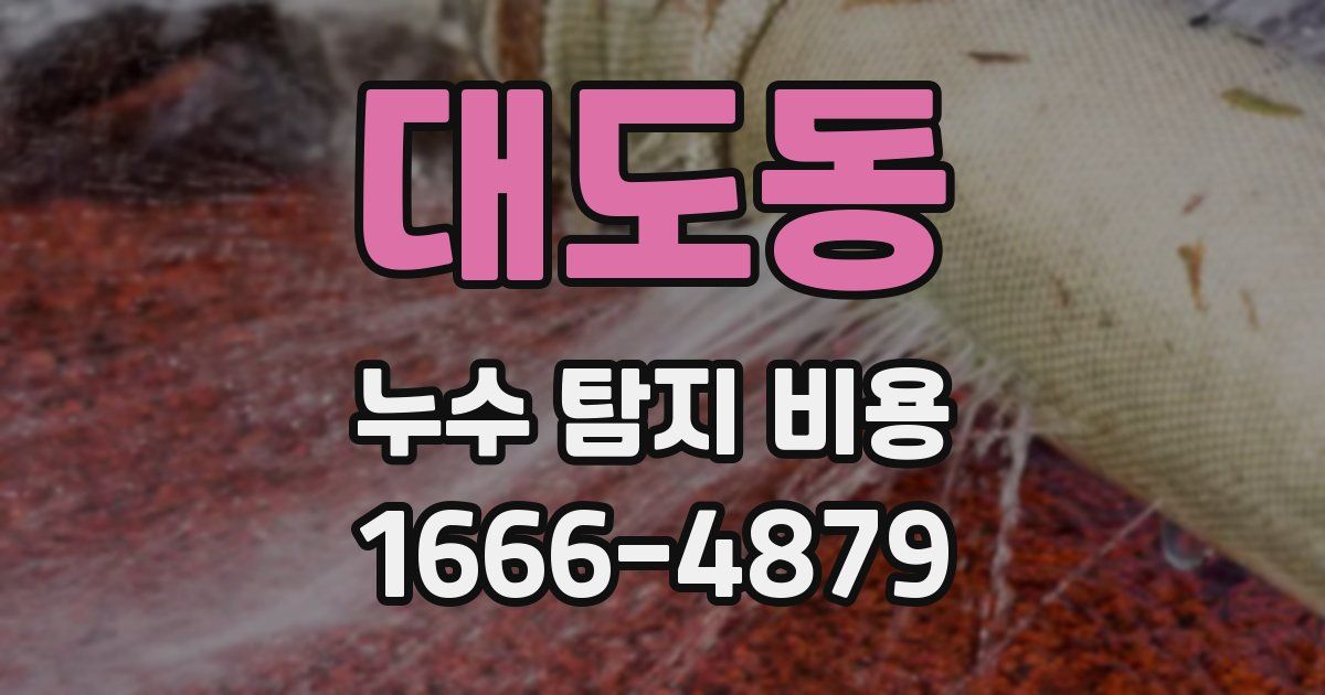 대도동 누수 탐지 비용