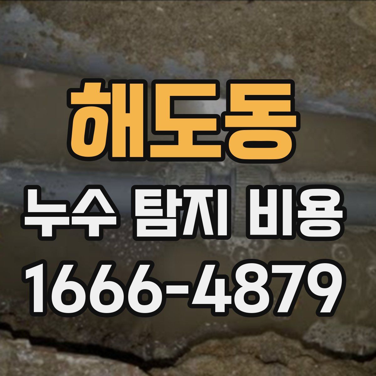 해도동 누수 탐지 비용