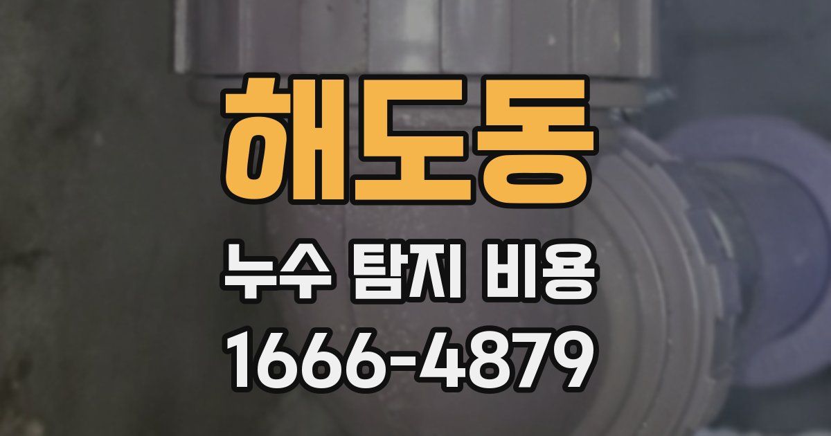 해도동 누수 탐지 비용