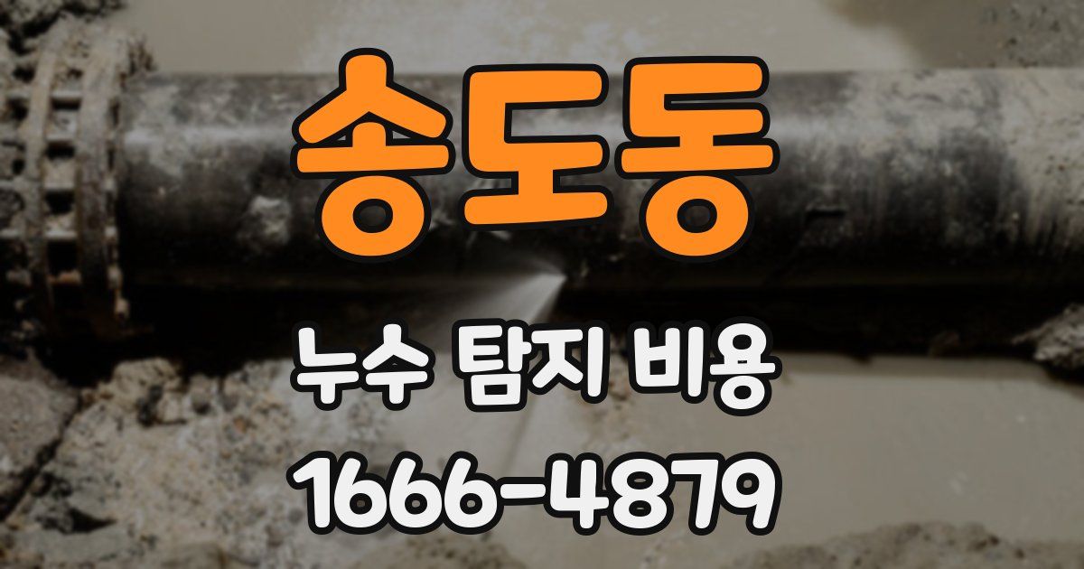 송도동 누수 탐지 비용