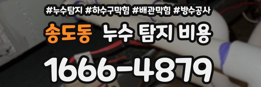 송도동 누수 탐지 비용