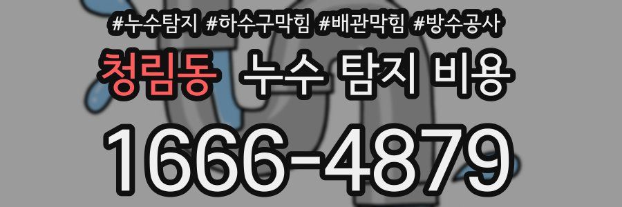 청림동 누수 탐지 비용