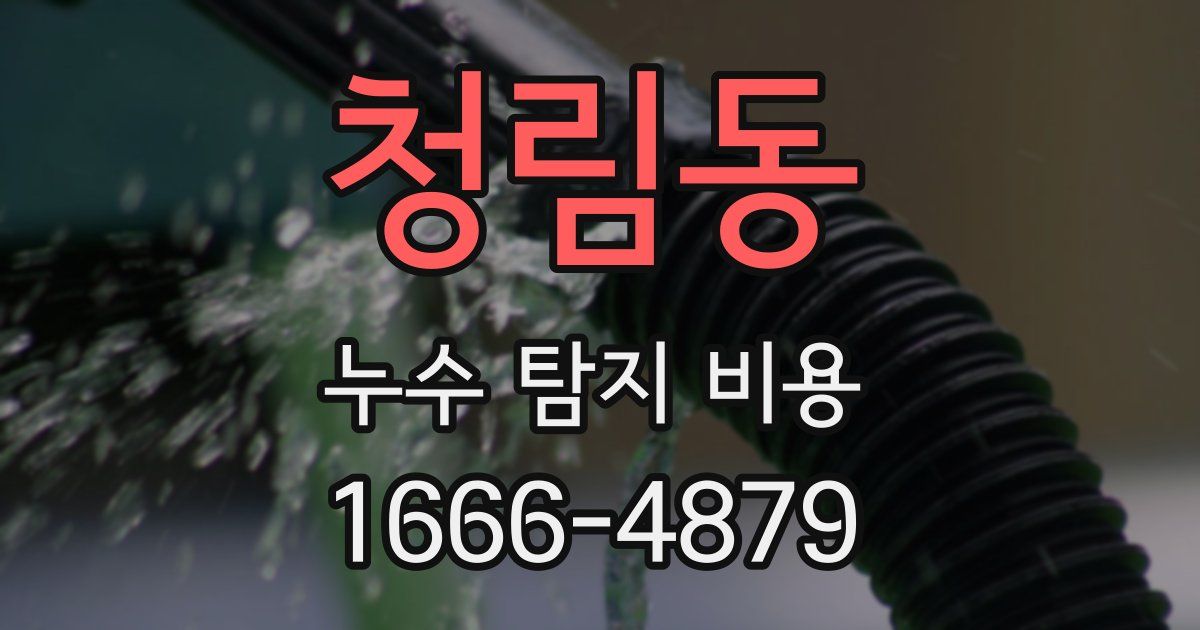 청림동 누수 탐지 비용
