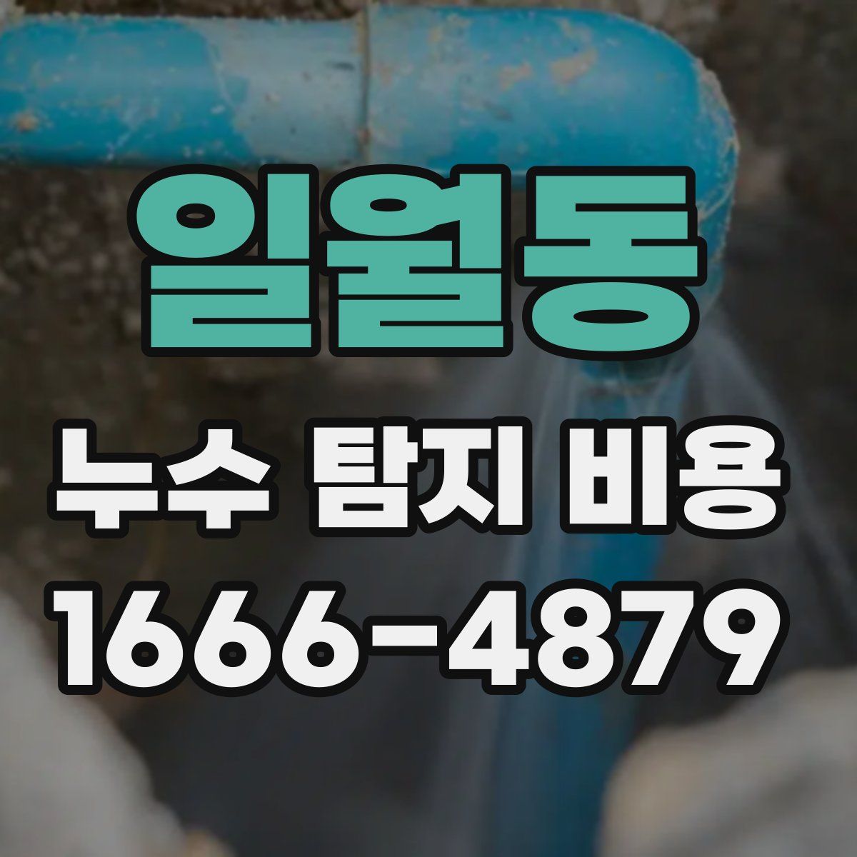일월동 누수 탐지 비용