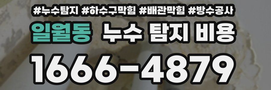일월동 누수 탐지 비용