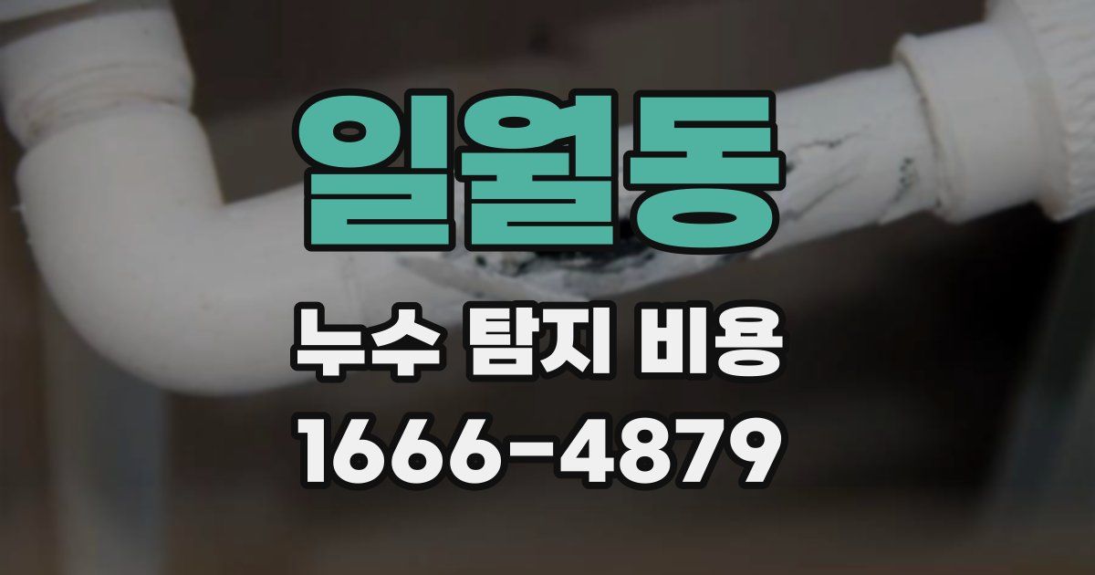 일월동 누수 탐지 비용