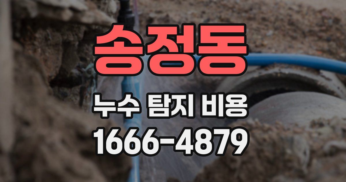 송정동 누수 탐지 비용