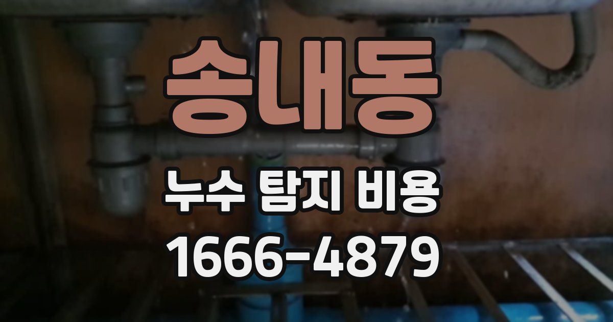 송내동 누수 탐지 비용