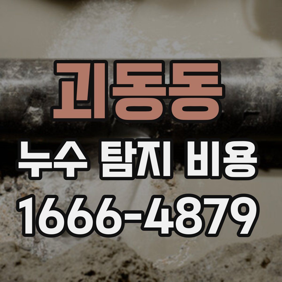 괴동동 누수 탐지 비용