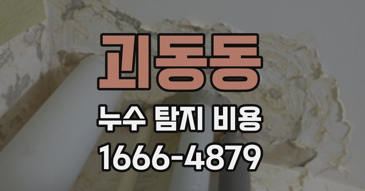 괴동동 누수 탐지 비용