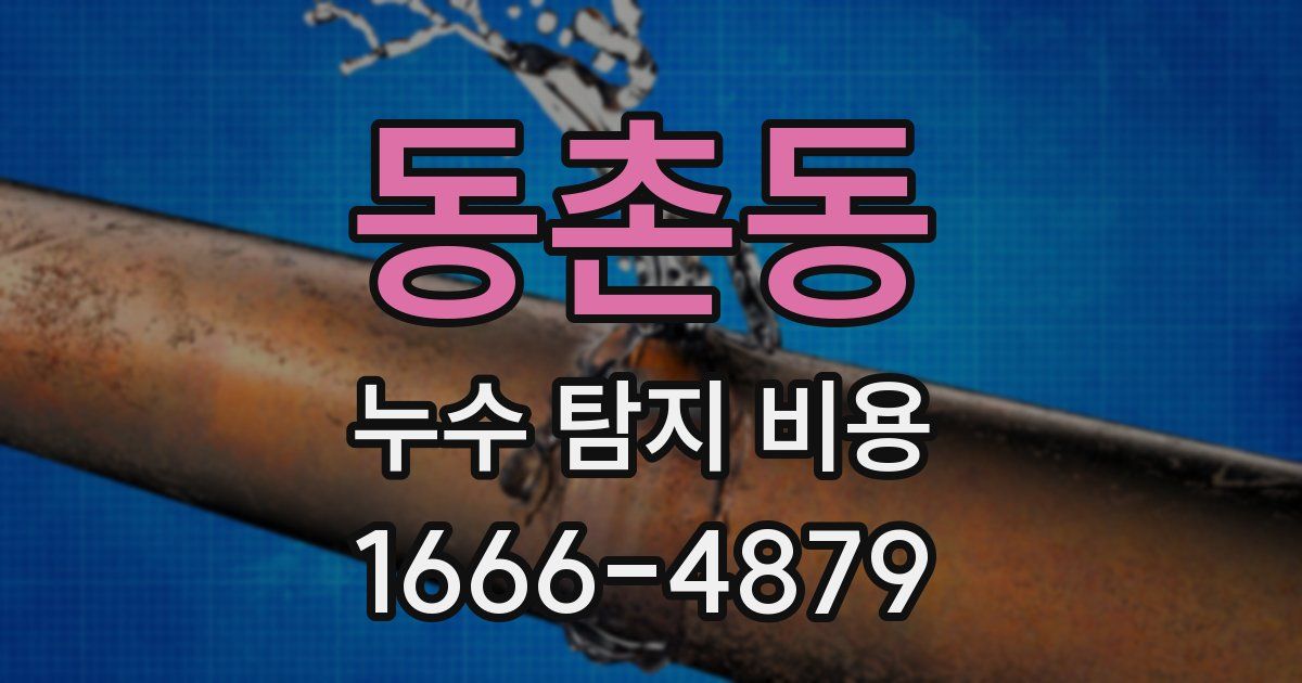 동촌동 누수 탐지 비용