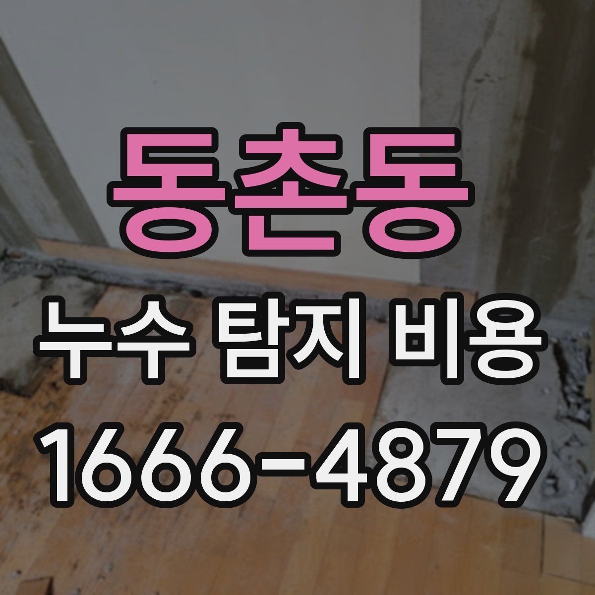 동촌동 누수 탐지 비용