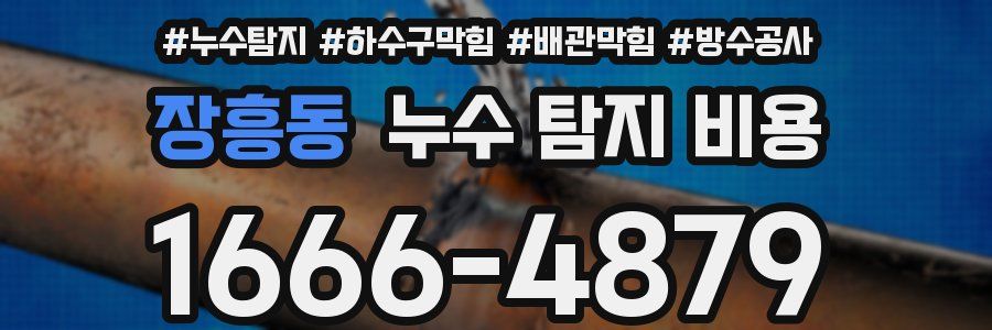장흥동 누수 탐지 비용