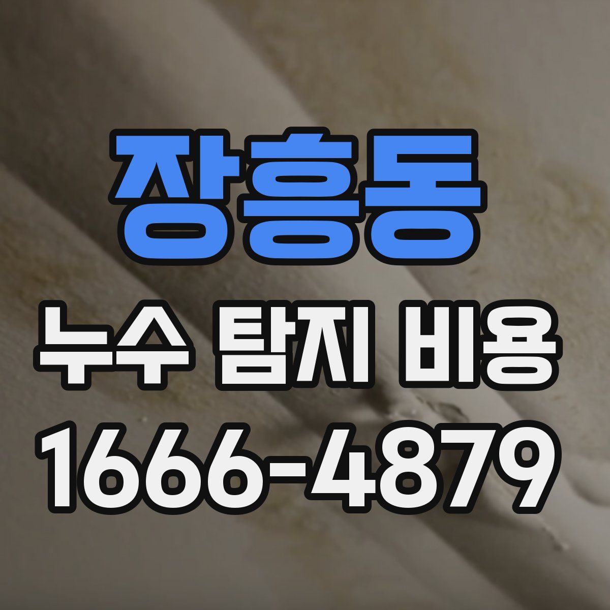 장흥동 누수 탐지 비용