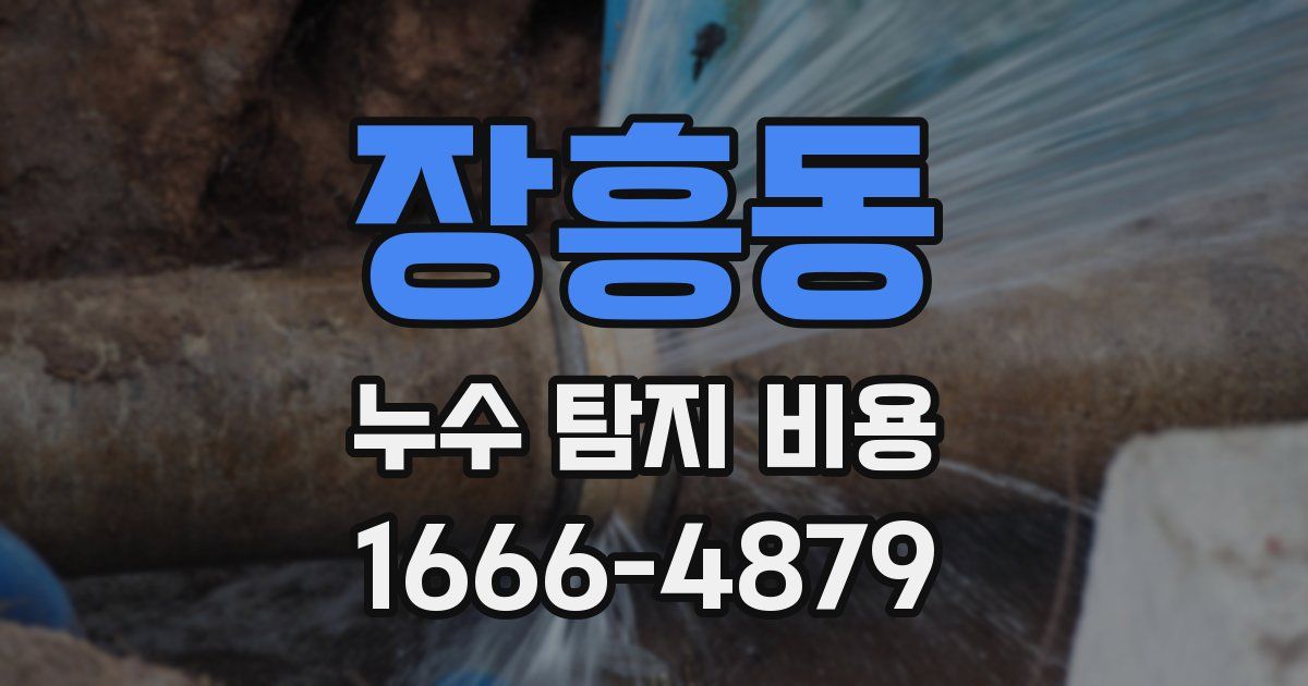 장흥동 누수 탐지 비용