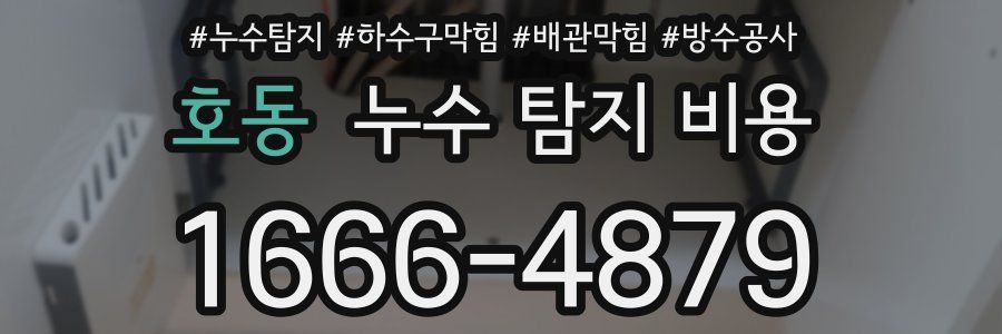 호동 누수 탐지 비용