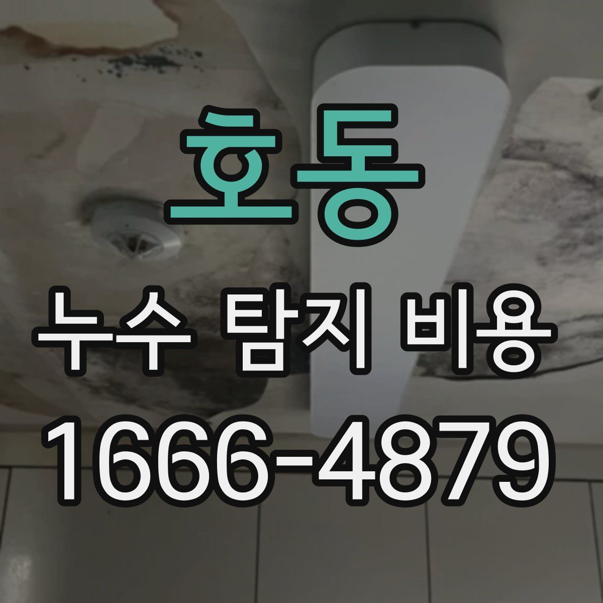 호동 누수 탐지 비용