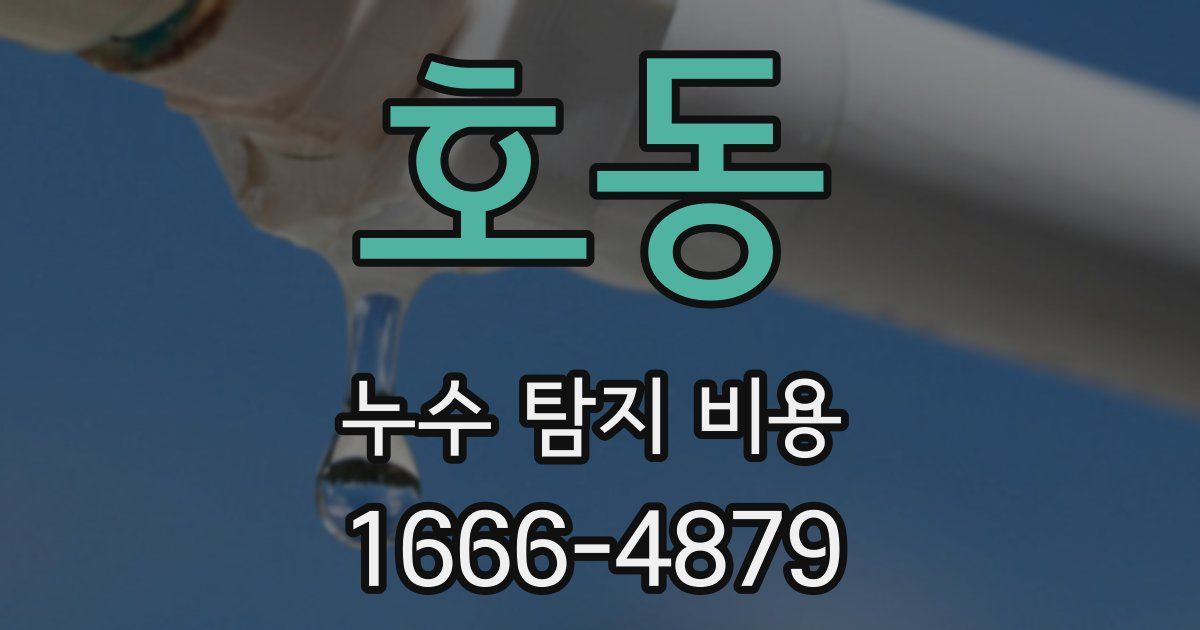 호동 누수 탐지 비용