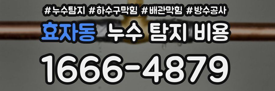 효자동 누수 탐지 비용