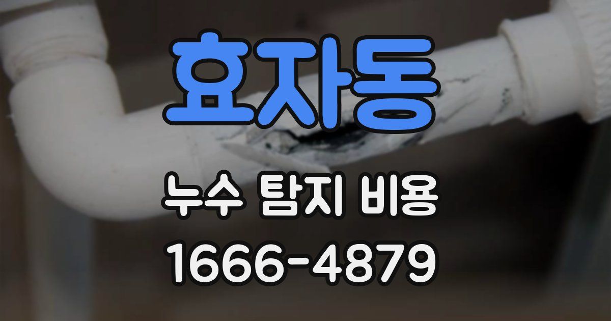 효자동 누수 탐지 비용